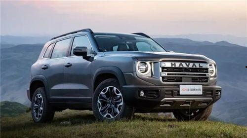 大狗哈弗爆料视频大全下载